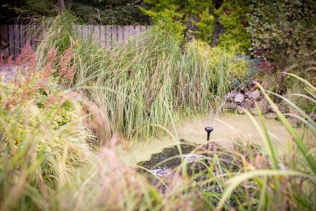 Calm Scottish Country Escape With Hot Tub Sleeps 6 Villa Inverness Eksteriør bilde
